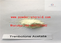 Đốt cháy chất béo Steroid Trenbolone Acetate 100mg / Ml để cải thiện khối lượng cơ bắp