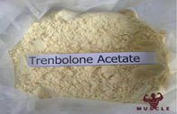 Trenbolone acetate Trenbolone Steroids CAS 862-89-5 C20H24O3